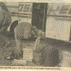 1990-waz42-18-12